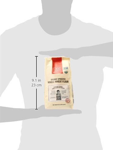 One Degree Organics Organic Sprouted Whole Wheat Flour, 32 oz