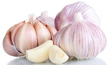 Kejora Usda Certified Organic Fresh Garlic Bulb 5 Count - Grown In California, Usa