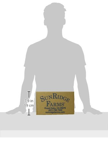Sunridge Farms Pine Nuts, 4 Ounce Bag (Pack Of 12)