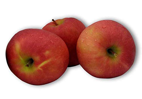 Kauffman Orchards Fresh Pink Lady Apples, Hand-Picked, Non-Waxed, Box of 8 Apples