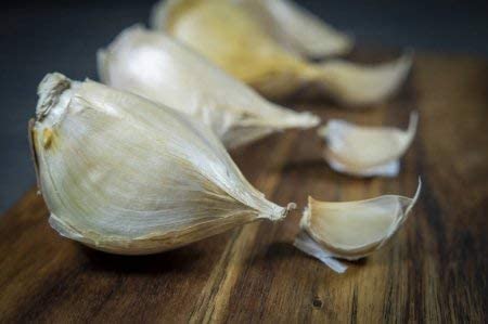 Garlic Elephant -0.15 Oz About 20 To 25 Cloves Organic Fresh Seeds Cloves Garlic Elephant For Planting, Eating And Growing Your