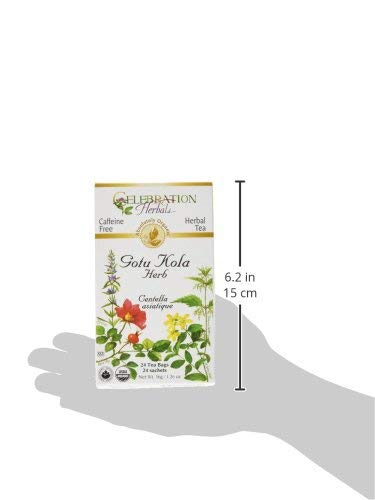 Celebration Herbals Organic Gotu Kola Tea Bags 24 Count