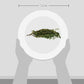 Jacobs Farm Organic Thyme, .75 Oz Clamshell