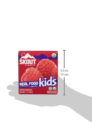 Skout Organic Raspberry Rush Kids Bar 5.1 Oz