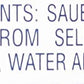 B&G Sauerkraut, 8 Ounce Can (Pack Of 24)