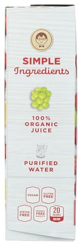 Jonnypops Organic Fruit Burst Mini Pops  11.2 Fl Oz