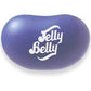 Jelly Belly Island Punch Jelly Beans - 1 Pound (16 Ounces) Resealable Bag - Genuine, Official, Straight from the Source