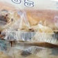 bakerly Chocolate Croissants, 9.52 oz.