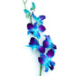 20 Blue And White Orchids With Vase