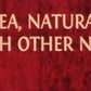 Twinings Chai Black Tea Individually Wrapped Bags, 25 Count (Pack of 6), Sweet, Savoury Spices, Caffeinated, Enjoy Hot or Iced,