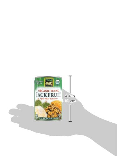 Native Forest Organic Young Jackfruit - Great Meatless Alternative, Plant Based Meat, Non-Gmo Project Verified, Usda Organic - Original, 14 Oz (Pack Of 6)