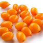 Fresh Frozen Wild Sea Buckthorn by Northwest Wild Foods - Healthy Antioxidant Fruit Diet - for Smoothies, Pies, Jams, Syrups (9 
