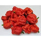 Magic Plant Dragons Breath Pepper Whole Pods - Intensely Hot Dried Red Chiles, 4 oz, No Additives
