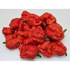 Magic Plant Dragons Breath Pepper Whole Pods - Intensely Hot Dried Red Chiles, 4 oz, No Additives