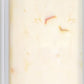 CABOT VERMONT Pepper Jack Cracker Cuts, 7 OZ