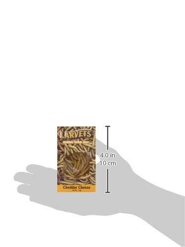 Hotlix Cheddar Cheese Larvets Edible Insects, 0.07 Ounce (Pack of 1), Model 124