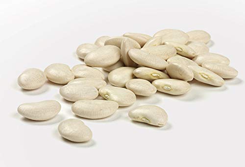 Camellia Brand Dried Large Lima Beans, 1 Pound (2 Pack)