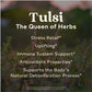 Organic India Tulsi Sleep Herbal Tea - Holy Basil, Ashwagandha, Chamomile, Night Time Tea For Bedtime, Stress Relieving & Relaxi