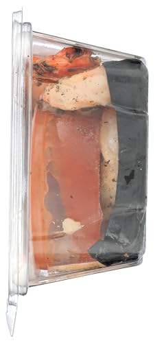 RAW SEAFOOD INC Grilled Shrimp with Sweet Chili and Lime Sauce, 10 OZ