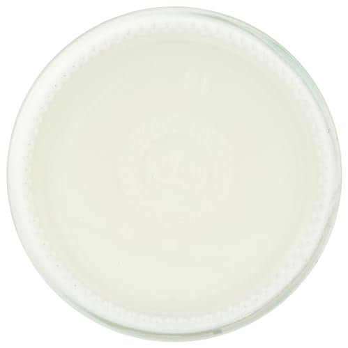 Organic Cocoyo Pure Coconut Yogurt