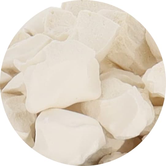 Arctic Farms Freeze Dried Ice Cream Bits Bulk - Does Not Melt (Butter Pecan) (1Lb)
