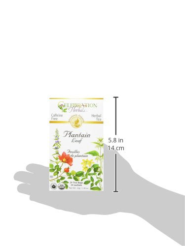 Celebration Herbals Plantain Leaf Organic 24 Bag, 0.02 Pound
