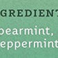 Stash Tea Moroccan Mint Green Tea, Box Of 100 Tea Bags (Packaging May Vary)