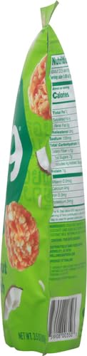 Dang Thai Rice Chips | Gluten Free, Soy Free & Preservative Free Rice Crisps, Healthy Snacks Made with Whole Foods (Coconut Crunch, 3.5 Ounce (Pack of 1))