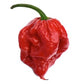 Carolina Reaper Flakes (4 Oz)