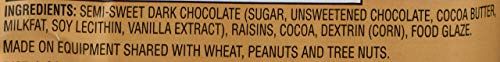 Trader Joes Dark Chocolate Covered Raisins