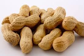 Gurley'S Jumbo Salted & Roasted In Shell Peanuts, Non Gmo Healthy High Protein Snacks, Salty Peanut Snack Sized Bags, 6 Oz Bag B
