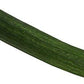 English Cucumber