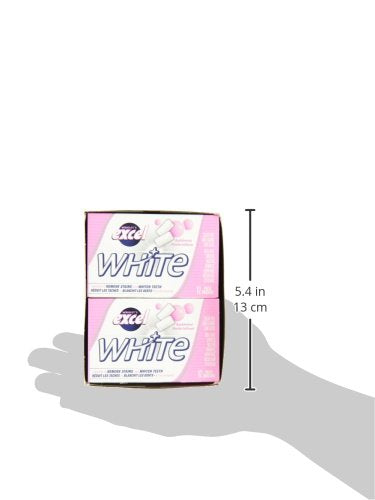 Excel White Sugar-Free Gum, Bubblemint, 12 Count