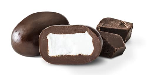 Tru Fru Real Coconut Melts Hyper-Dried Fresh In Dark Chocolate, 4.2 Ounce Bag