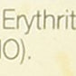 Now Foods Erythritol Natural Sweetener, 16 Ounce (Pack of 2)