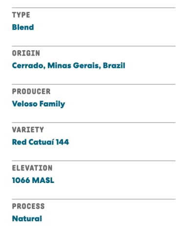 JOE COFFEE COMPANY The Amsterdam Whole Bean Coffee, Specialty Coffee, 12oz Bag