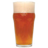 Northern Brewer - Irish Red Ale Extract Malt Drink Recipe Kit Makes 5 Gallons