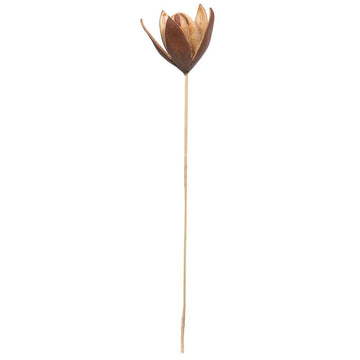 Vickerman 678992-20" Lily On Stem 50/Pk (H7Lil000) Dried And Preserved Pods