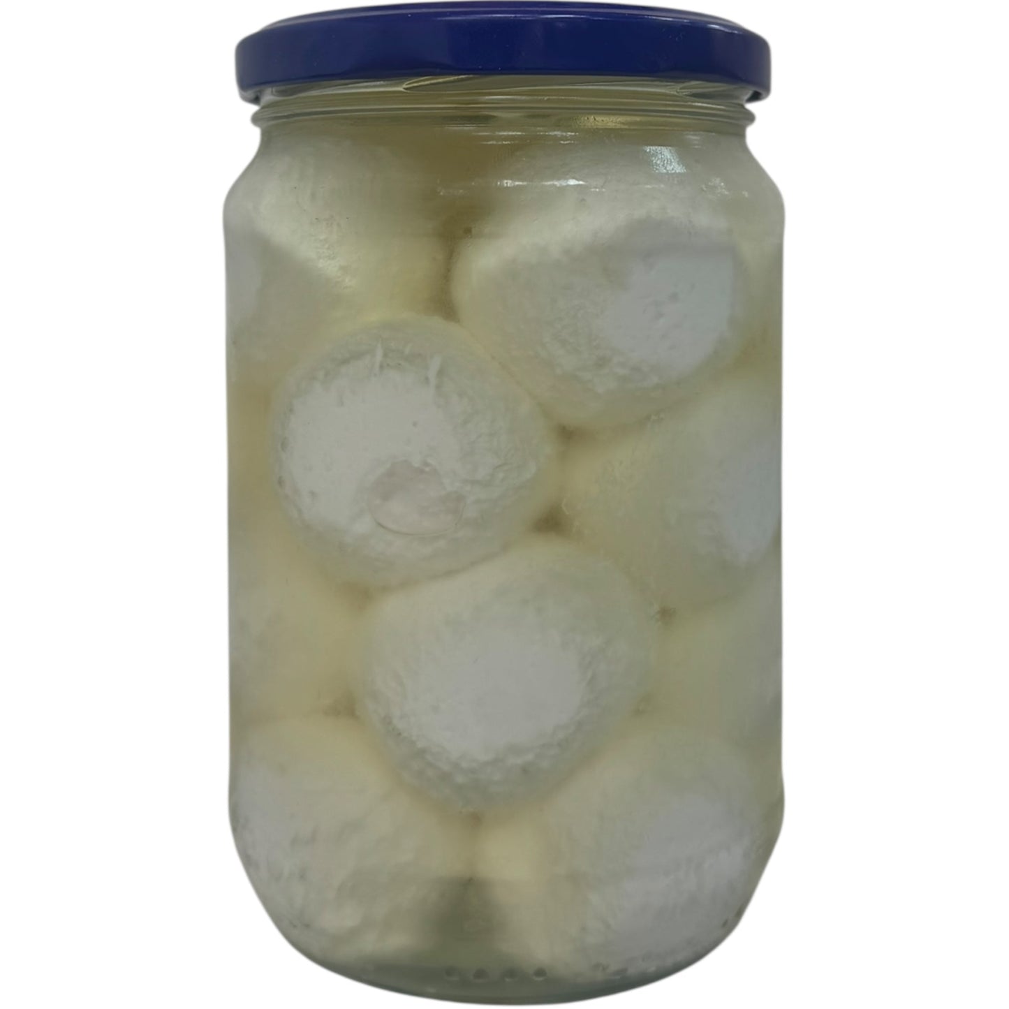 Shahia Creamy Sheep Yogurt Labneh – Middle Eastern Cheese Spread