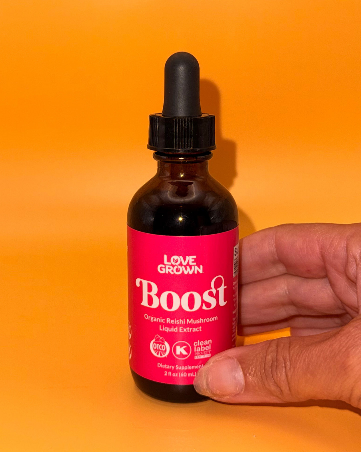 Organic Reishi WellDrops Tincture