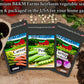 30 Seed Packet Vault: Heirloom, Non-GMO Vegetable Seed Packets