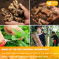 Anti-Inflammaheb Loose Leaf Tea, 100% Natural from Ginger, Turmeric, Peppermint, Black Pepper, Cinnamon