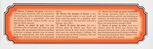 Marvis Ginger Mint Toothpaste, 1.3 Oz