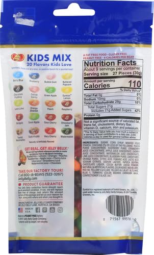 Jelly Belly Kids Mix Jelly Beans, Resealable 9.8 Oz Pouch Bag - 20 Assorted Flavors That Kids Love - Kosher, Peanut Free Candy