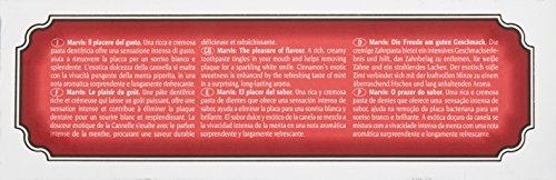 Marvis Cinnamon Mint Toothpaste, 1.3 Oz