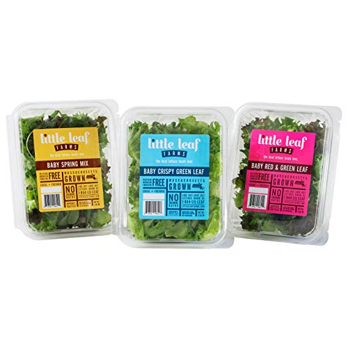 Little Leaf Farms Crispy Baby Red & Green Leaf Lettuce, 4 Ounce