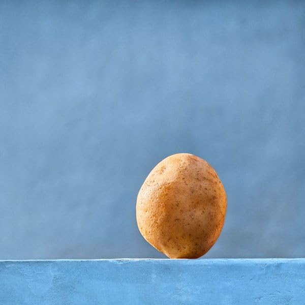 Row 7 Organic Upstate Abundance Yellow Creamer Potatoes, 24 OZ