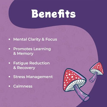 Melting Forest Mushroom D-Stress Drink - Variety Pack - 4 Flavors - 12 Pack