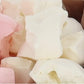 Arctic Farms Freeze Dried Ice Cream That Does Not Melt (Neapolitan, 1 Ounce)