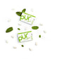 Pur Gum | Aspartame Free Chewing Gum | 100% Xylitol | Natural Coolmint Flavored Gum, 9 Pieces (Pack Of 12)